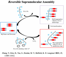 Reversible_Supramolecular_Assembly