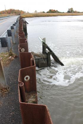 Healthy Coastal Ecosystems: Historic Greenwich Township Project