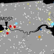 Microgrids + Resilience