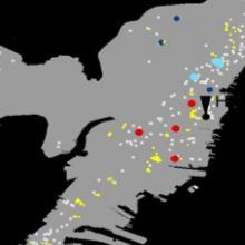 Microgrids + Resilience