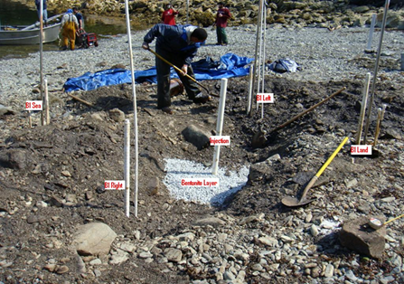 Gravel beaches trapping oil from the 1989 Exxon Valdez spill (July 2012).