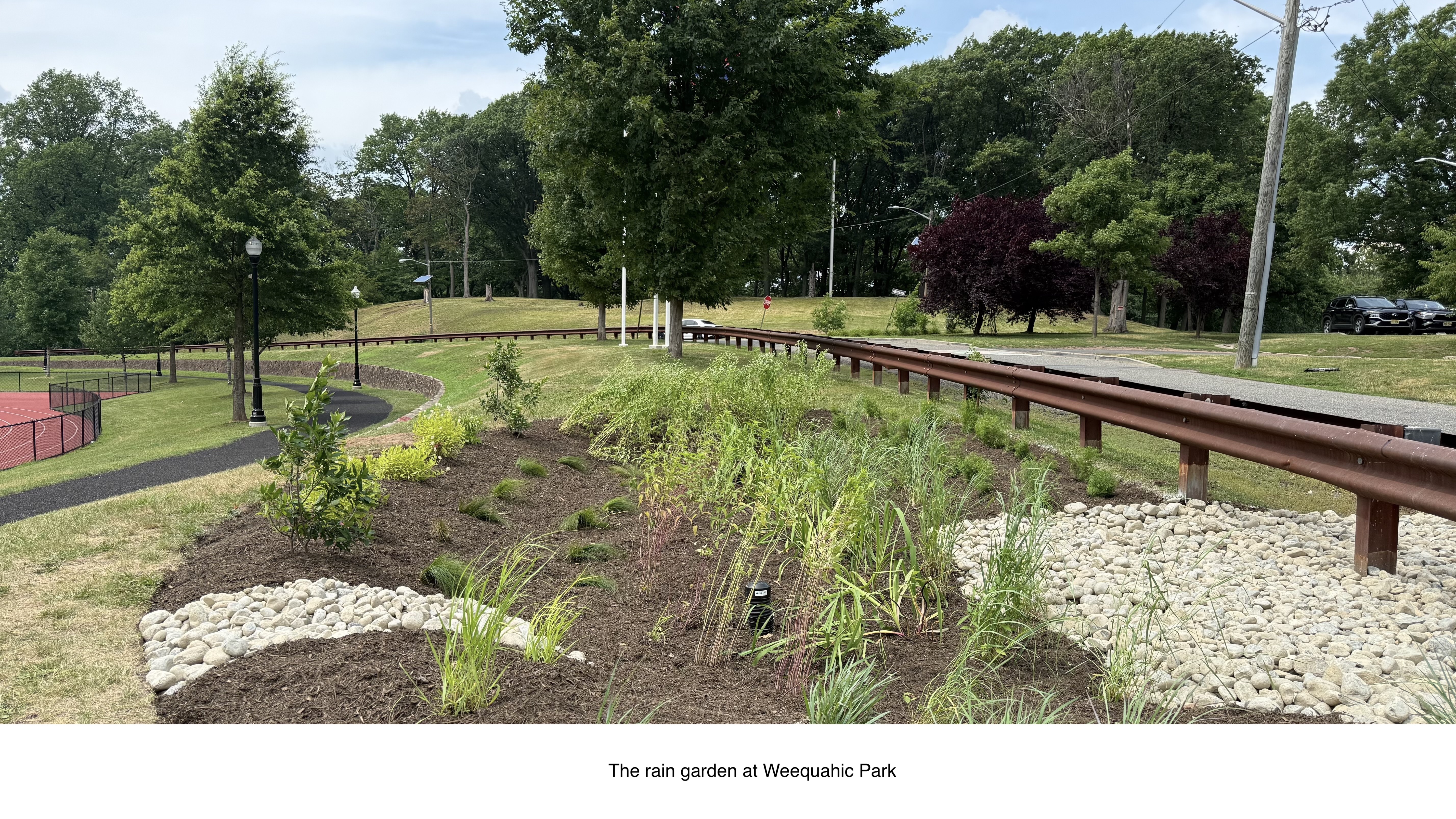 Picture showcasing the plants and location of the rain garden at Weequahic Park,