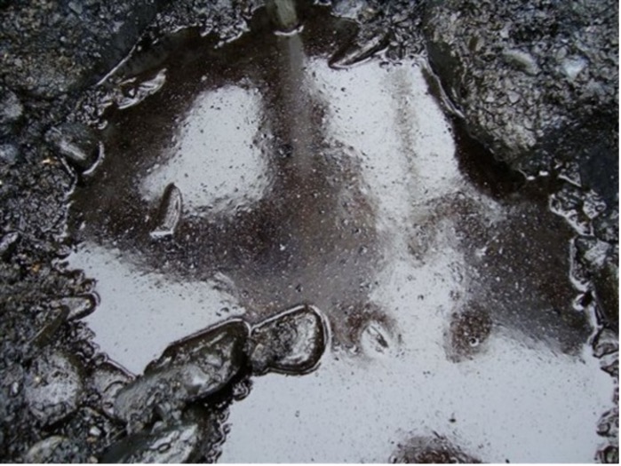 Exxon Valdez oil still trapped on beaches.