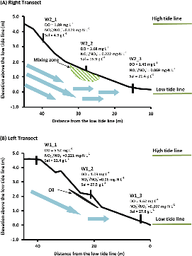 Waterflow, DO, and salinity within the beach on both transects.