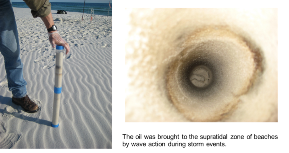 Visible oil entrapment in the supratidal beach zone, driven ashore by wave action during storms.