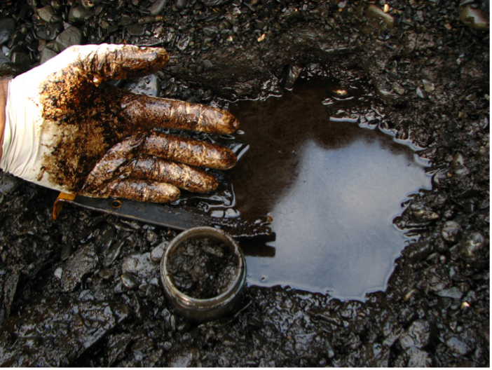 Exxon Valdez oil still trapped on beaches.