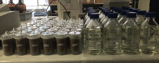 Sand column microcosms and seawater bottle (Bioremediation of hydrocarbons). Sand column microcosms and seawater bottle (Bioremediation of hydrocarbons).