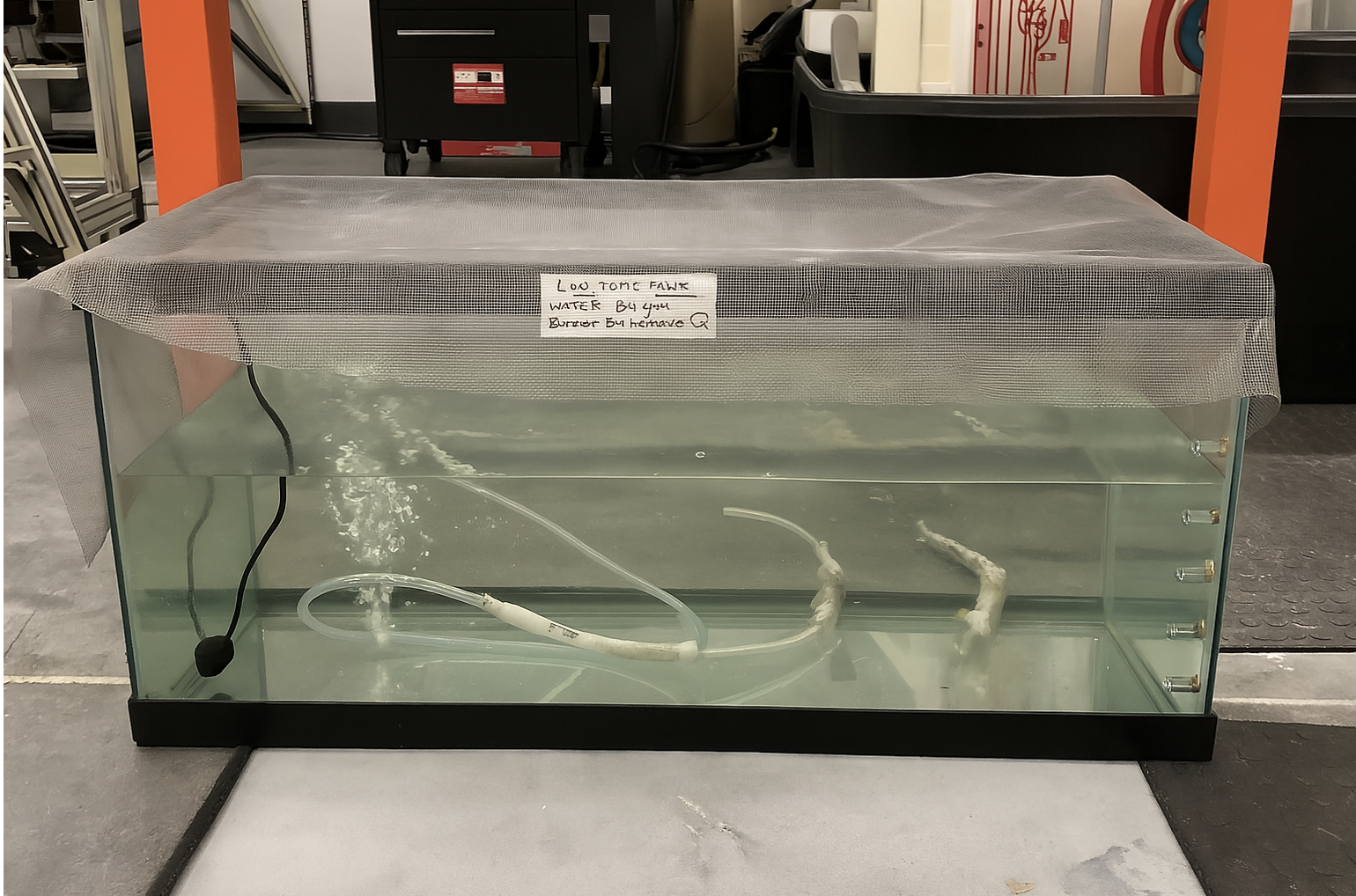 Biodegradation of crude oil in hypersaline seawater. Biodegradation of crude oil in hypersaline seawater.
