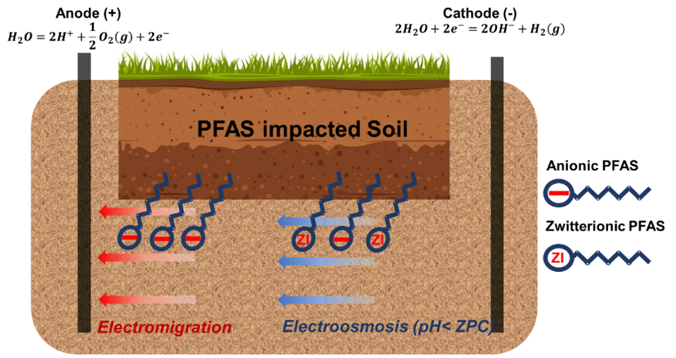 EK to mobilize PFAS from soils. EK to mobilize PFAS from soils.