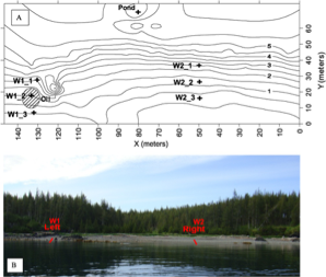 Beach topography and transect positions illustrating areas analyzed for dissolved oxygen and nutrient dynamics.
