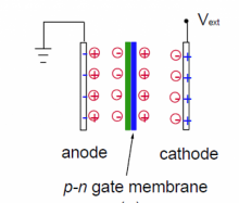 Capacitor-within-capacitor 