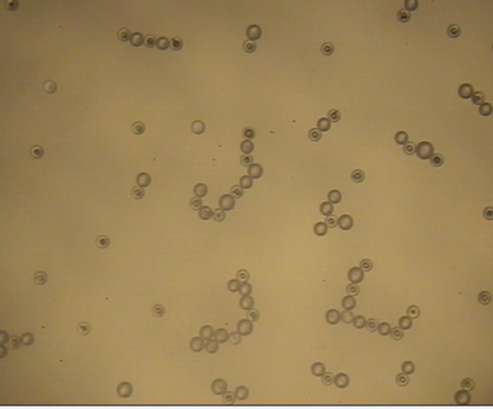 Molecular-like hierarchical self-assembly of particle mixture