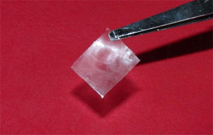  Formation of flexible resin films with particle monolayers embedded on their surfaces.