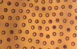  Formation of flexible resin films with particle monolayers embedded on their surfaces.