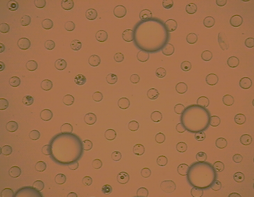 Molecular-like hierarchical self-assembly of particle mixture