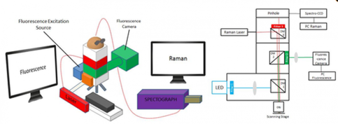 Customized Microscope