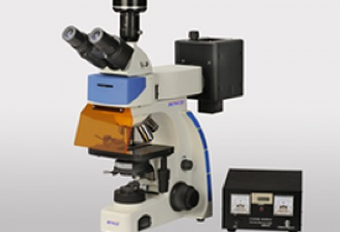 Digital, Fluorescence microscope w/ high speed camera